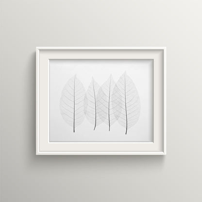 Minimalist Four Leaves Nature Art Print | Black and White Giclée Print for Home, Office, or Nursery Decor | UNFRAMED