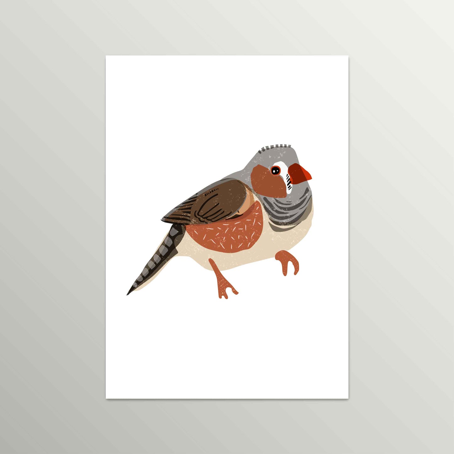 Freestyle Zebra Finch Bird Print – Vintage-Inspired Wildlife Art