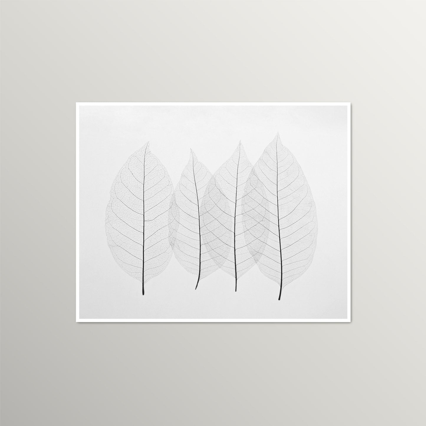 Minimalist Four Leaves Nature Art Print | Black and White Giclée Print for Home, Office, or Nursery Decor | UNFRAMED