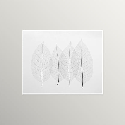 Minimalist Four Leaves Nature Art Print | Black and White Giclée Print for Home, Office, or Nursery Decor | UNFRAMED