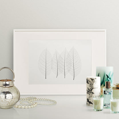 Minimalist Four Leaves Nature Art Print | Black and White Giclée Print for Home, Office, or Nursery Decor | UNFRAMED