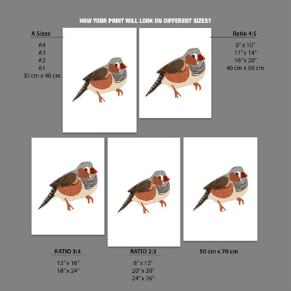 Freestyle Zebra Finch Bird Print – Vintage-Inspired Wildlife Art